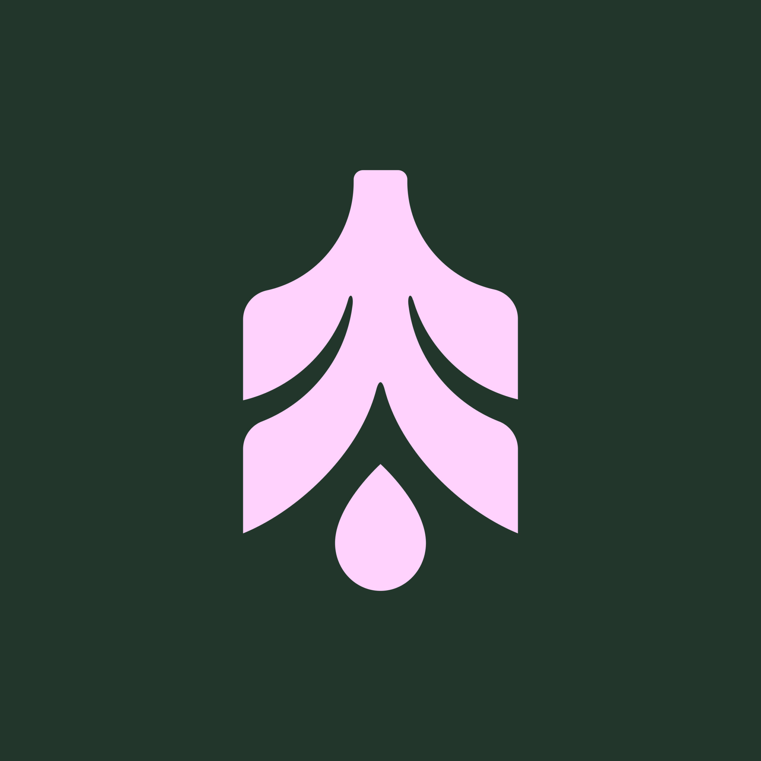 Logomark - High Camp Flasks (Rejected)